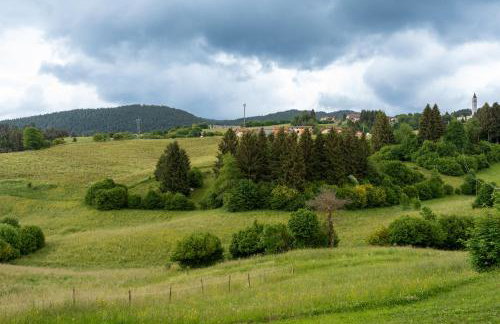 Chalet Le Dimore Asiago - Ideale per gruppi e Famiglie - Photo 49