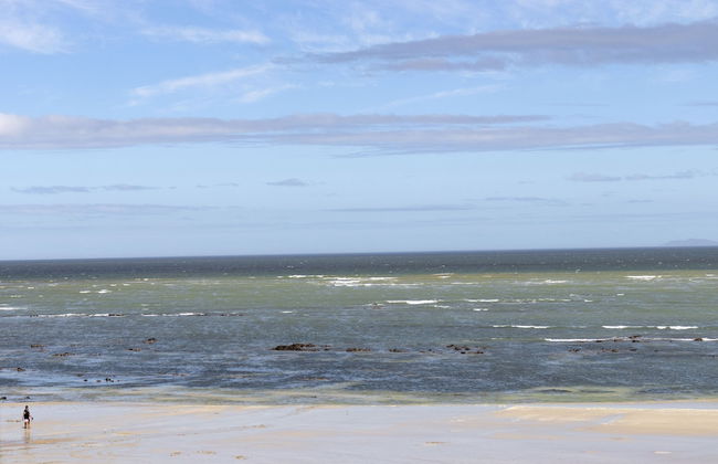 Pip's Place - Photo 30