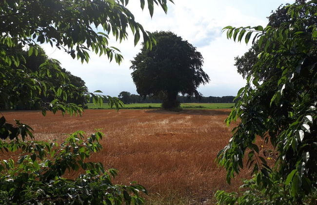 Holiday House House by the Lake - Foto 17