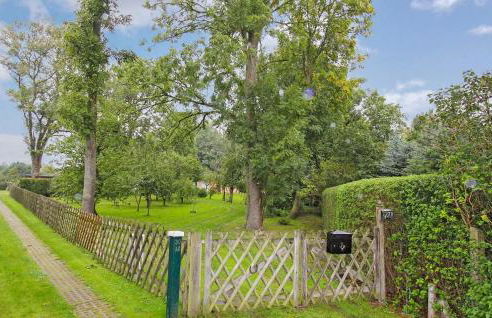 Ferienhaus Bartelshagen Ii - Foto 2