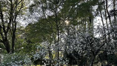 Tranquil home at Westerlands Farm, Sleeps 7, The South Downs - Foto 5, Garden, Garden view