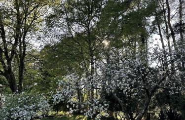 Tranquil home at Westerlands Farm, Sleeps 7, The South Downs - Foto 5