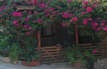 Elena’s House Sivota Lefkadas - Foto 2