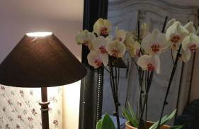 Hotel de L Orange - Foto 35