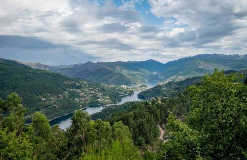 Ares Vieira - Foto 42