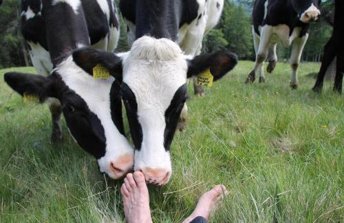 Unterpfaffstall-Hof - Foto 65