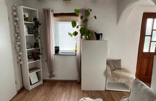 Pfälzer Hexenhäuschen in Edesheim - Foto 18