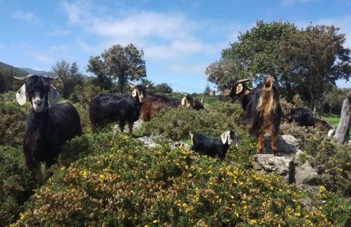 Casa La Cañada - Foto 38