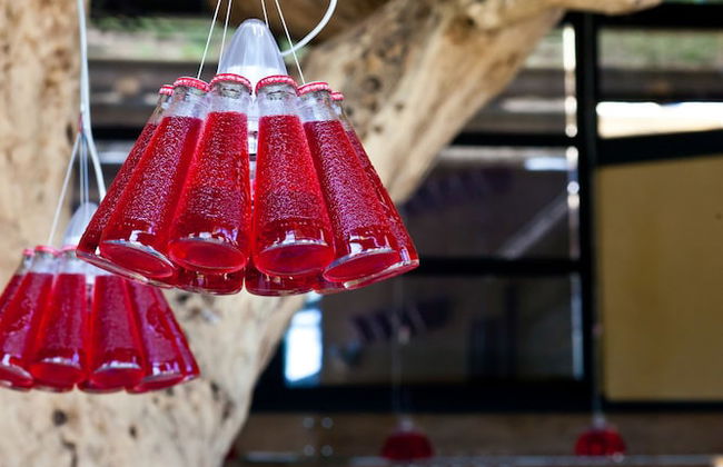 Podere La Torre - Foto 39