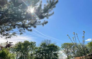 Miętowy Domek Trzebawie - Foto 36