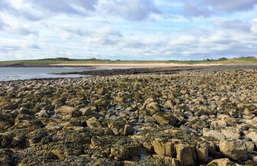 Strawberry Hill View - Foto 18