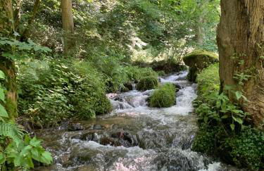 CLASSIC DRIVER HOME 2 - Foto 36