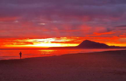 Hello Oliva Beach Alter - Photo 23