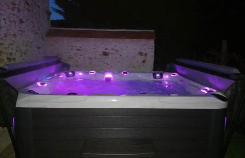 GITE ENTRE TERRES ET VIGNES à la ferme avec SPA privatif en CHAMPAGNE à une heure de Paris - Foto 7