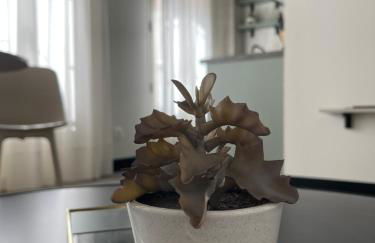 Picasso City Centre 1E - Foto 9