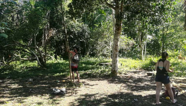 Hiking through the ravine