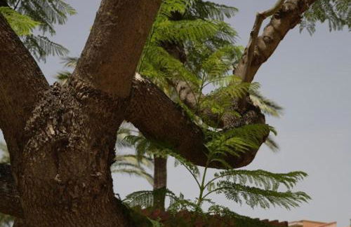 Apartment in Cambrils - Foto 18