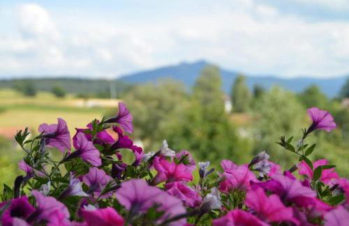 Ferienhof Altmann - Foto 16