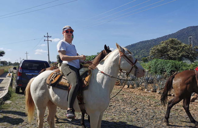 Horseback Riding in Tequila & Distillery Visit with Tasting - Photo 7