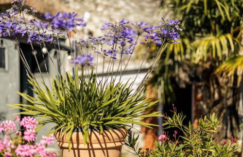 Gite La Loge - Chateau Mondou - Foto 15