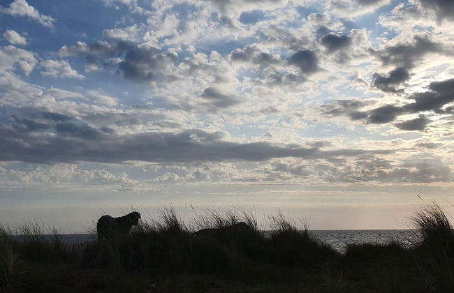 Home From Home Caravan in Lowestoft - Foto 10