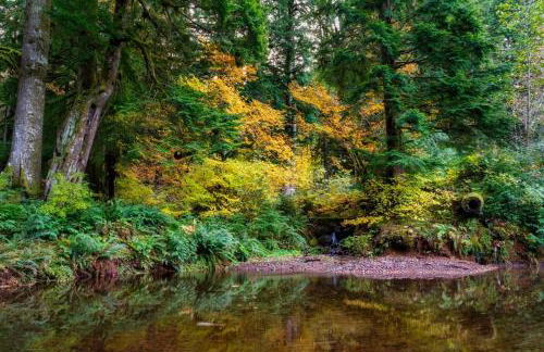 The Cottage at Highland Farms - Foto 32