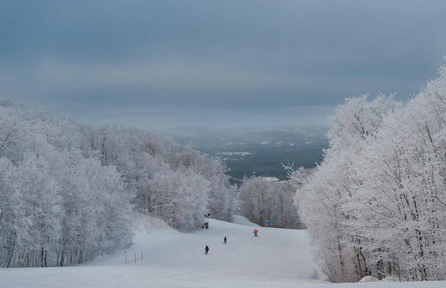 Be zen With Nature Enjoy Private hot tub Citq 301946 - Foto 41
