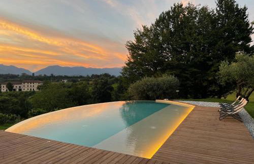 GATTO IN VIGNA - Foto 46