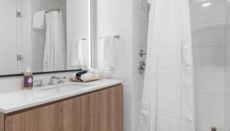 Lux Apts with Lake Views and Top Amenities - Foto 4, towels, Shower