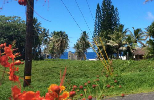 Mediteranean style Ohana Rental / Garden Bungalow in Pahoa - Photo 43