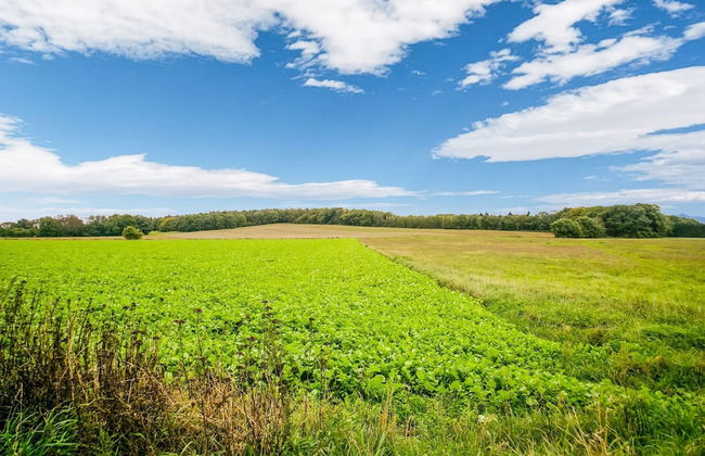 Holiday Home in Kilder Near Bergherbos - Photo 33