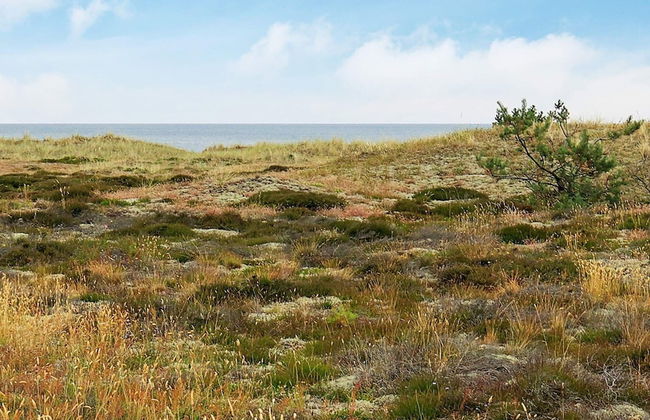 6 Person Holiday Home in Laeso-by Traum - Foto 23