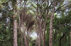 Apartment Nilema Rovinj - Photo 59