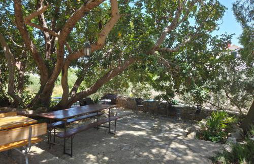 Studio Apartment Mileta - Photo 2