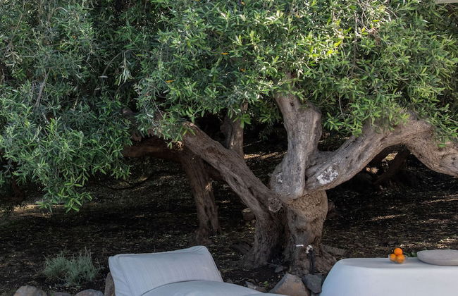 Vico San Lorenzo - Camere a Salina - Foto 39