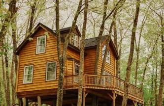 Treehouse in Maine woods- The Grand Oak - Foto 6