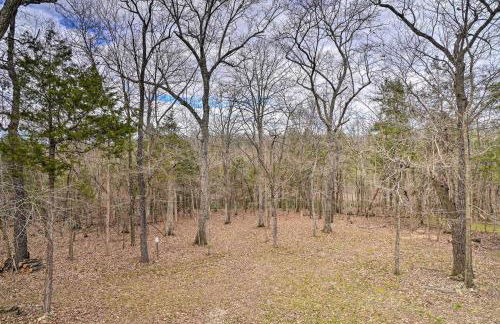 Fire Pit and Views Family Cabin on Table Rock Lake - Foto 28