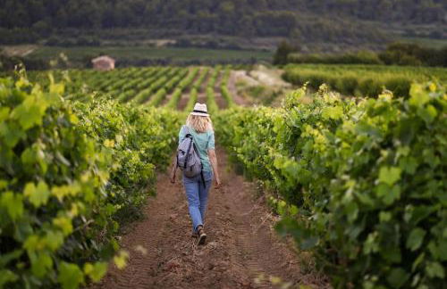 LA BELLE ROSE - Appartement 4 personnes proche gare Bordeaux - Foto 35