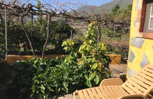 Casa Casilda - Foto 29