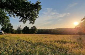 Wild Spa Cottage - Foto 1