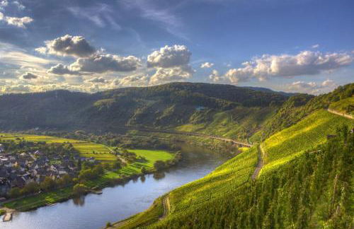 Casa Schneider - Urlaub an der Mittelmosel - Foto 10