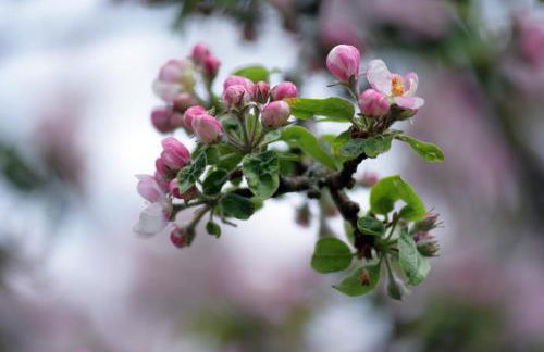 B&B Mas de Lagorae - Photo 38