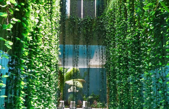 Palmarena Rooms and Residences - Long Stay Comfort with Parking, Sauna, Gym and Pool (Steps from 5th Avenue) - Foto 35