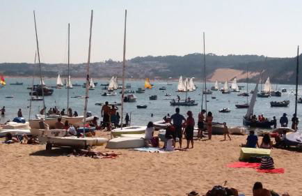 Alojamentos Campo & Mar - T1 com Piscina - Foto 13