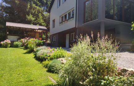 Villa-Apartments Bognar - Photo 17