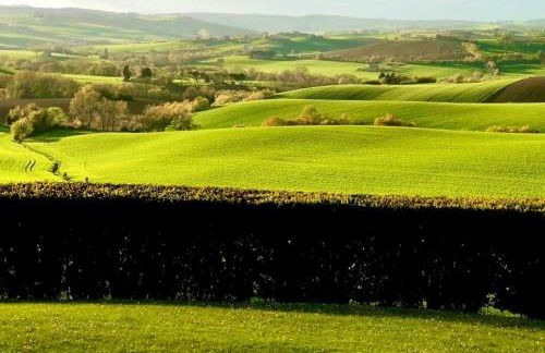 Villa Giulia, a splendid farmhouse in the Marche region - Foto 10