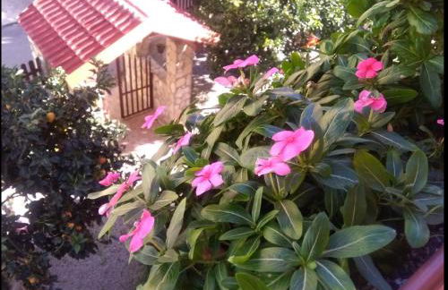 Casa Belvedere - Foto 28