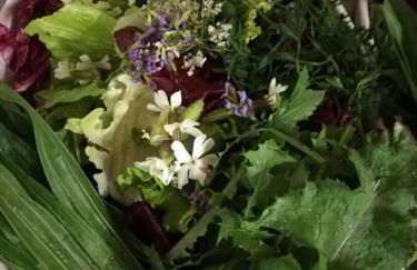 Agriturismo con Cucina tipica Nuova Scardua - Foto 77