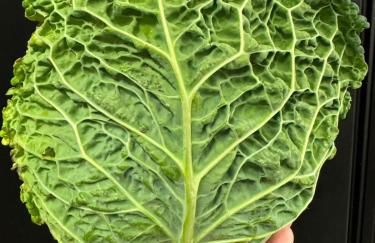 Il Grottino Relais & Spa - Foto 60