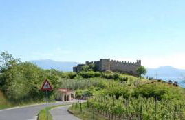 Mimosa Apartments - Foto 38